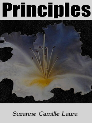 cover image of Principles